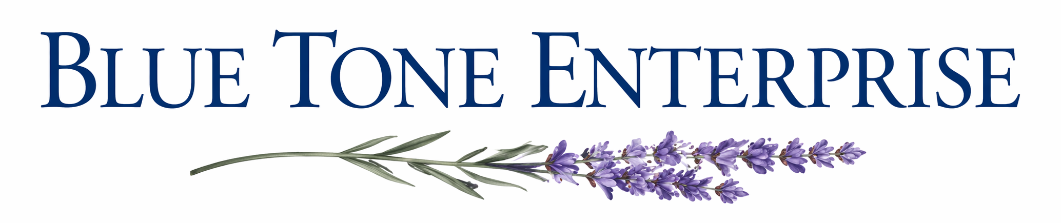 Blue Tone Enterprise